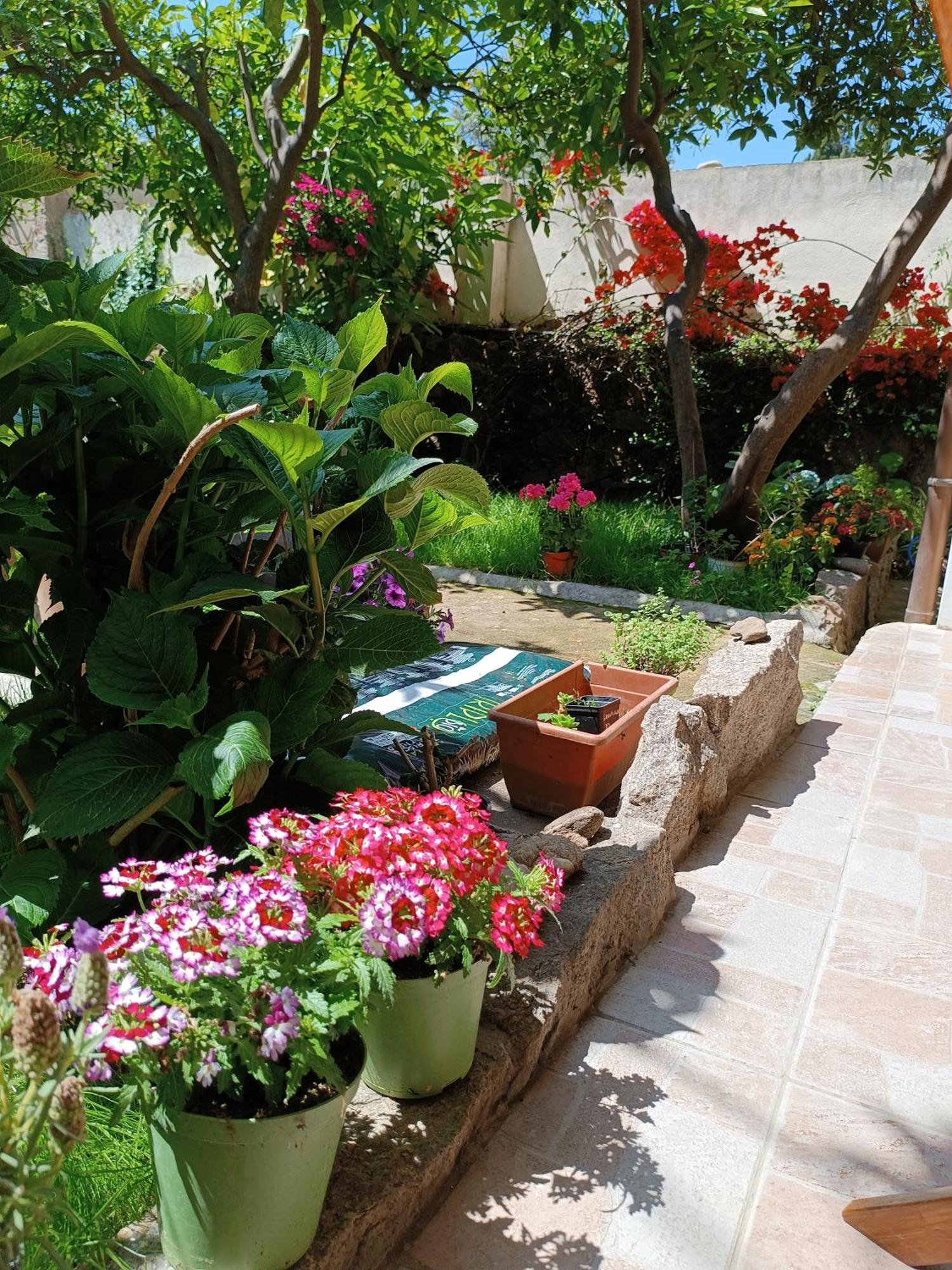 Domo Janas Guesthouse Olbia Ngoại thất bức ảnh